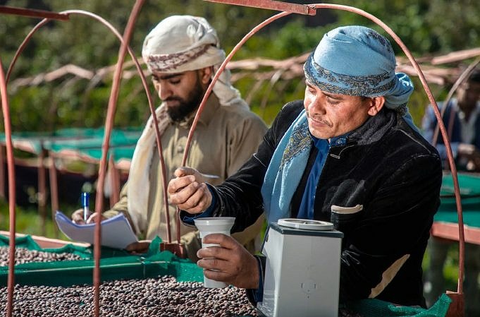 Alles Wat Je Moet Weten Over Koffie Uit Jemen