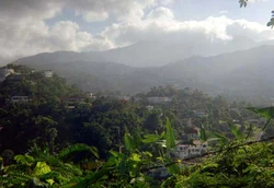 Wat Maakt Jamaicaanse Blue Mountain Coffee Zo Speciaal